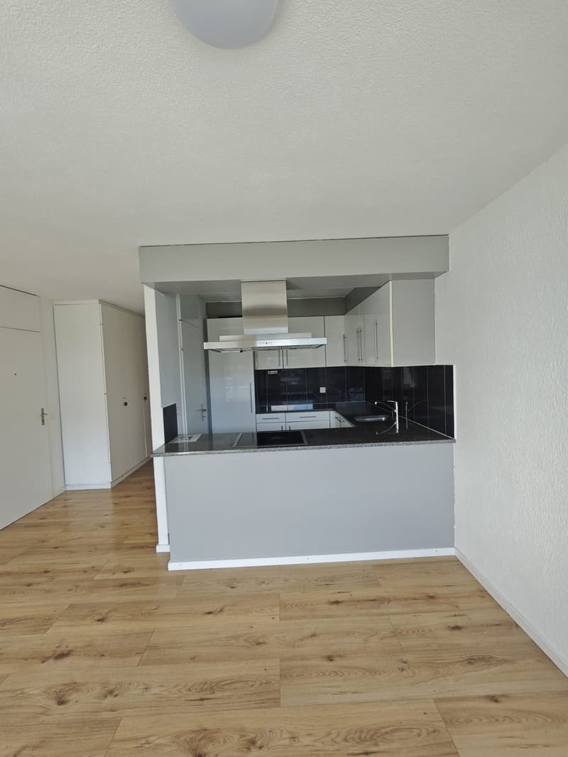 Helle 4.5ZimmerWohnung in Bellach (3)