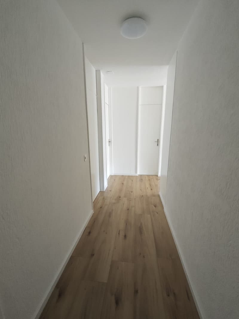 Helle 4.5ZimmerWohnung in Bellach (8)