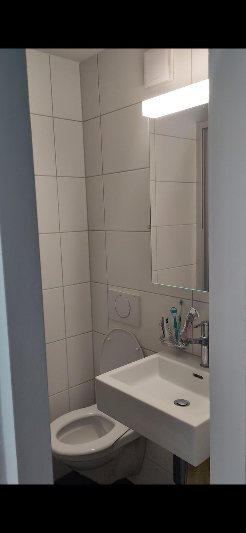 Befristete 1 Zimmerwohnung in der Lorraine (6)