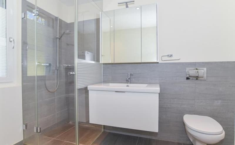 Nachmieter per 05.10. für schöne 3.5 Zi Wohnung in Auenstein gesucht (5)