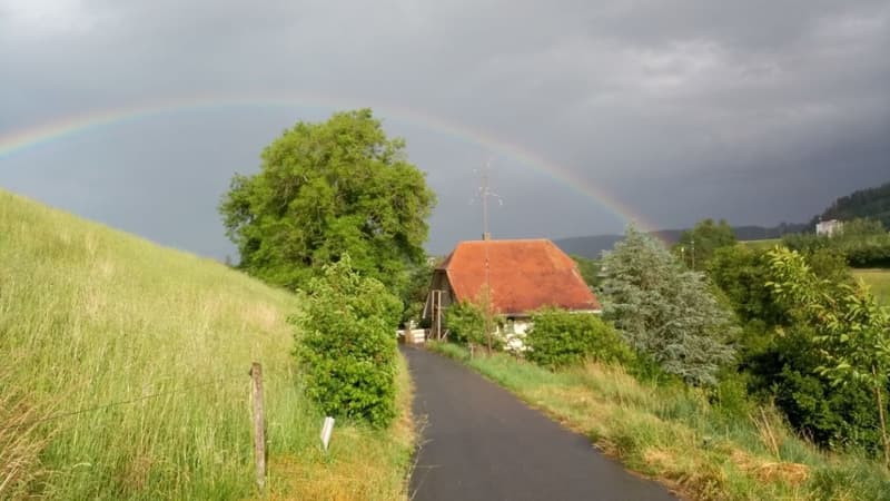 Wohngemeinschaft sucht neue Mitbewohner/in (2)