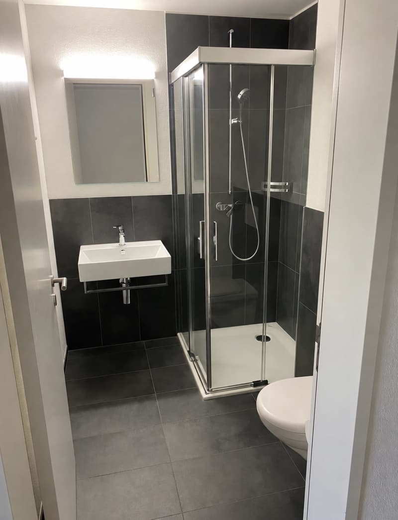 moderne 4.5-Zimmer Wohnung in Jona (11)