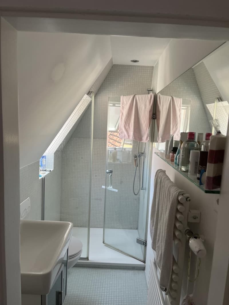 Charmante und Ruhige Dachwohnung (6)