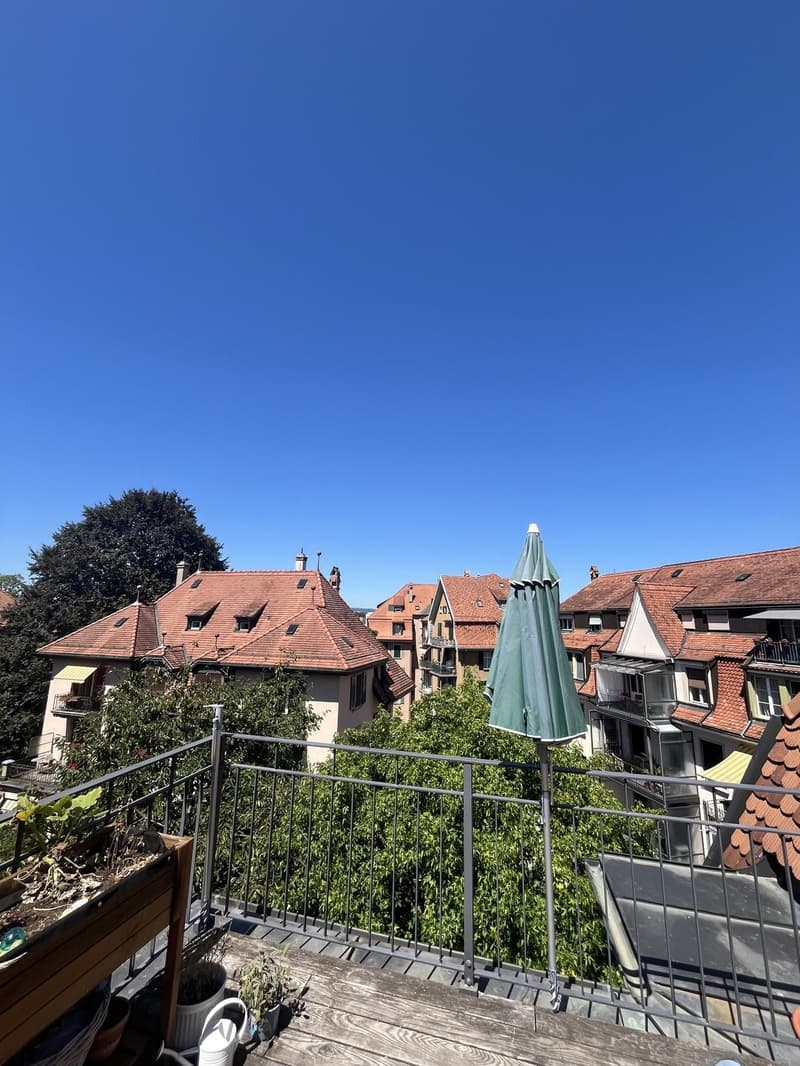 Charmante und Ruhige Dachwohnung (4)