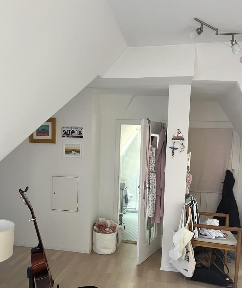 Charmante und Ruhige Dachwohnung (2)
