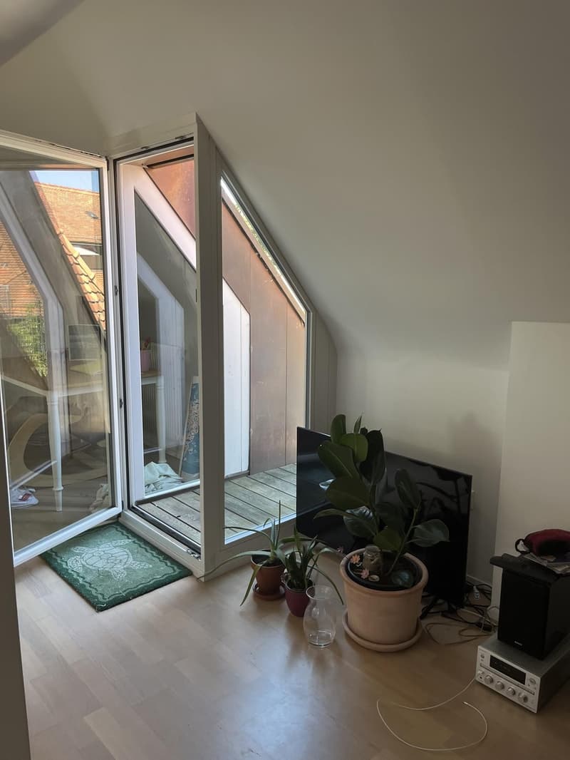 Charmante und Ruhige Dachwohnung (7)