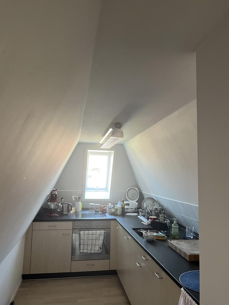 Charmante und Ruhige Dachwohnung (5)