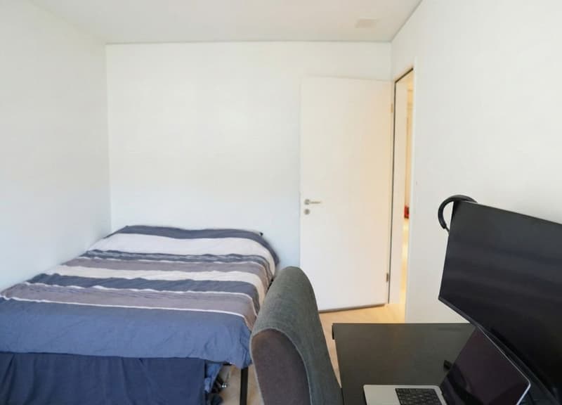 Premium furnished room in 128m² designer flat  in-unit laundry, 2 bathrooms, balcony view, underfloor heating (8)