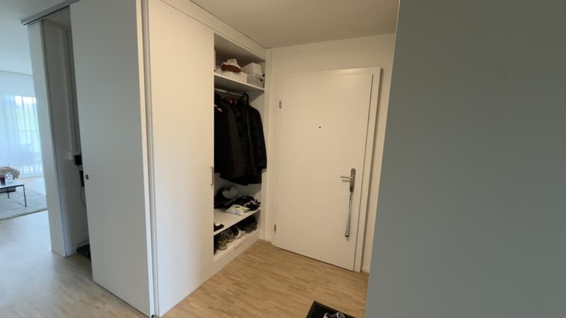 Eingang mit Garderobe und Einbauschrank