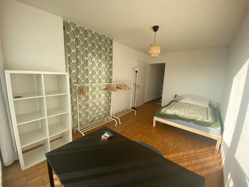 WG room in a shared flat (2)