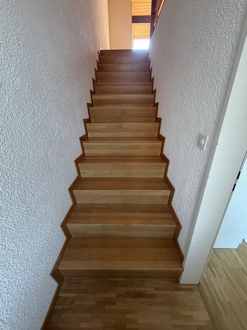Mitbewohnerin gesucht (3)