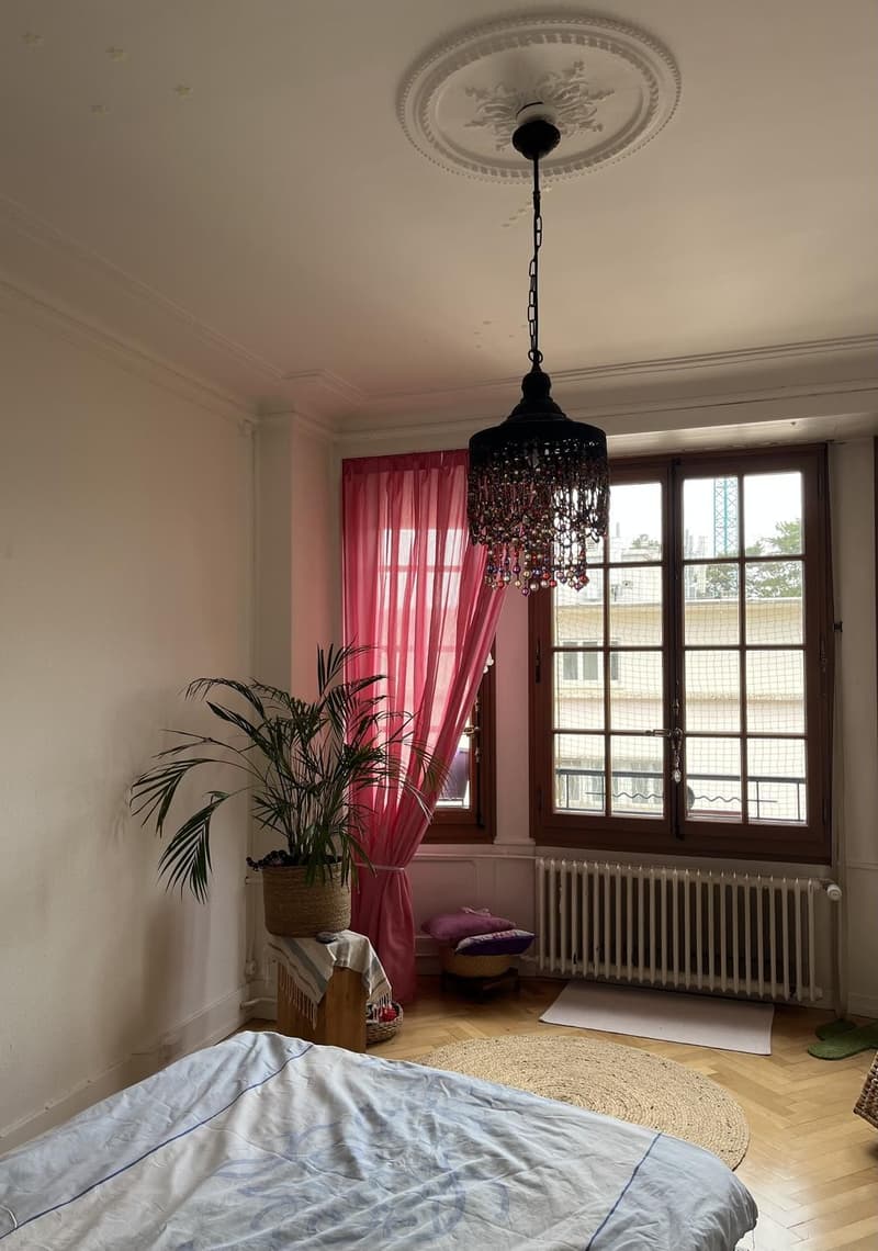 Magnifique 3,5 pièces (5)