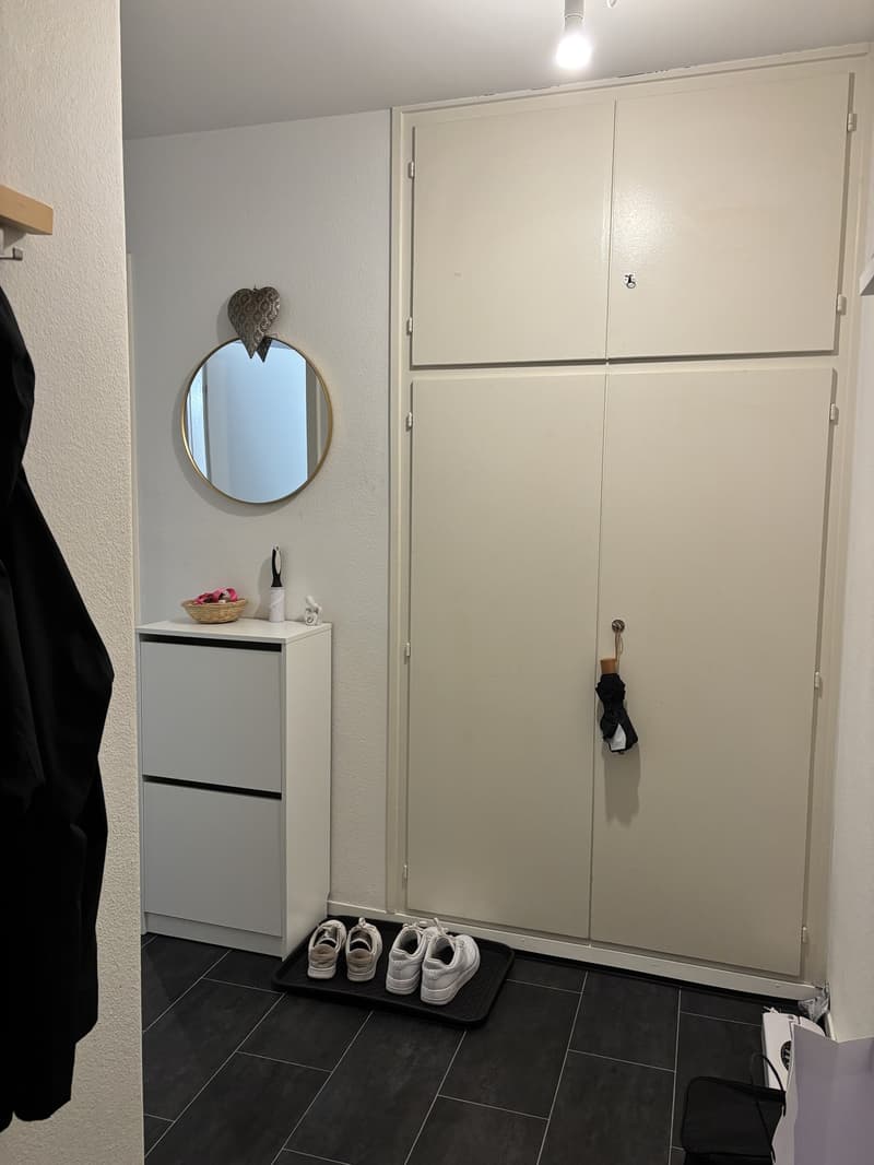 -Zimmer-Wohnung in Schwerzenbach  Nachmieter gesucht (4)