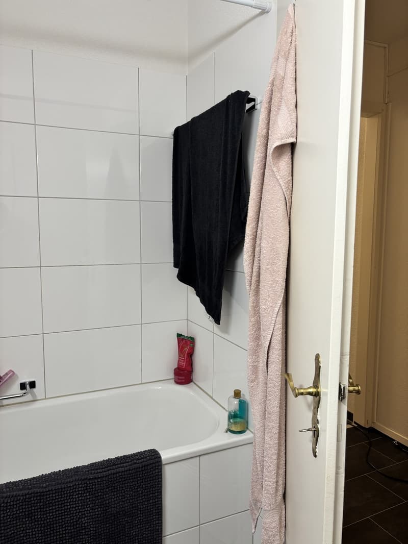 -Zimmer-Wohnung in Schwerzenbach  Nachmieter gesucht (6)