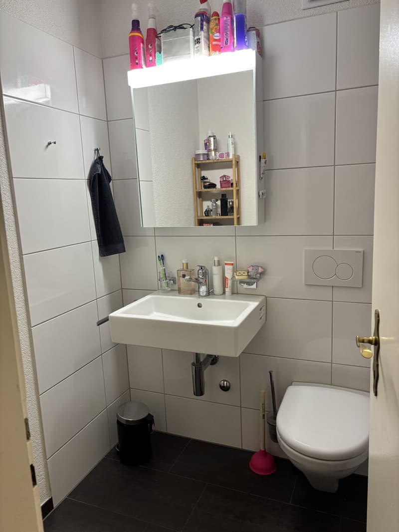 -Zimmer-Wohnung in Schwerzenbach  Nachmieter gesucht (5)