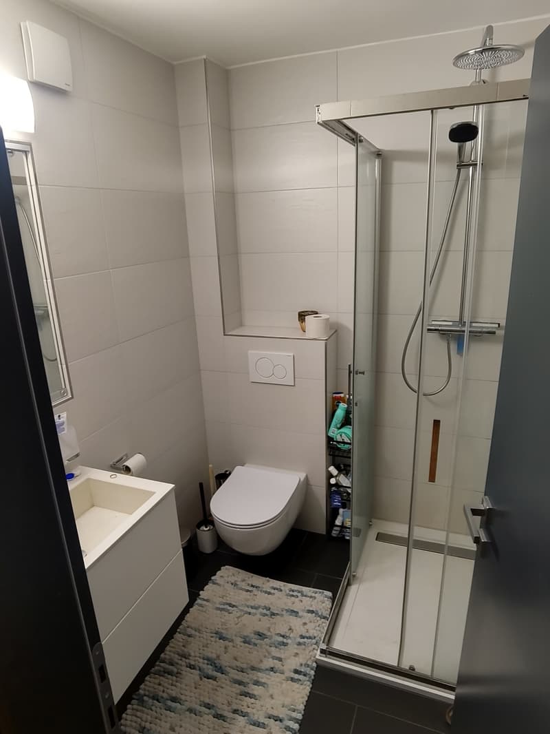3,5-Zimmer-Wohnung im Liebefeld - Nachmieter*in gesucht! (6)