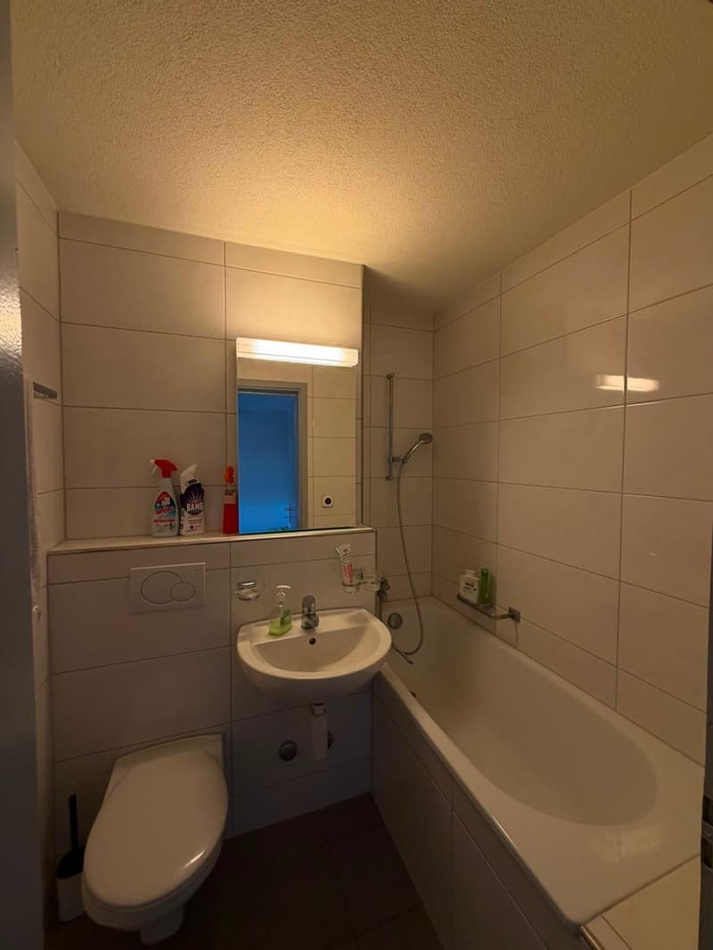 1-Zimmerwohnung (3)