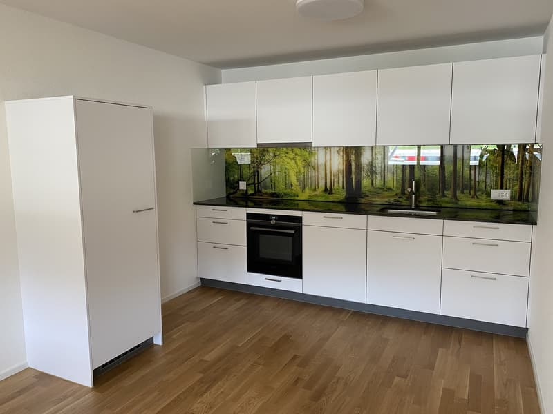 1.5 Zimmer-Wohnung mit eigenem Waschturm in Wallenwil (1)