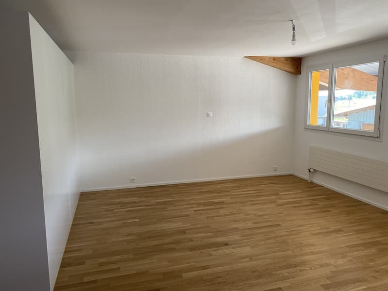 1.5 Zimmer-Wohnung mit eigenem Waschturm in Wallenwil (2)