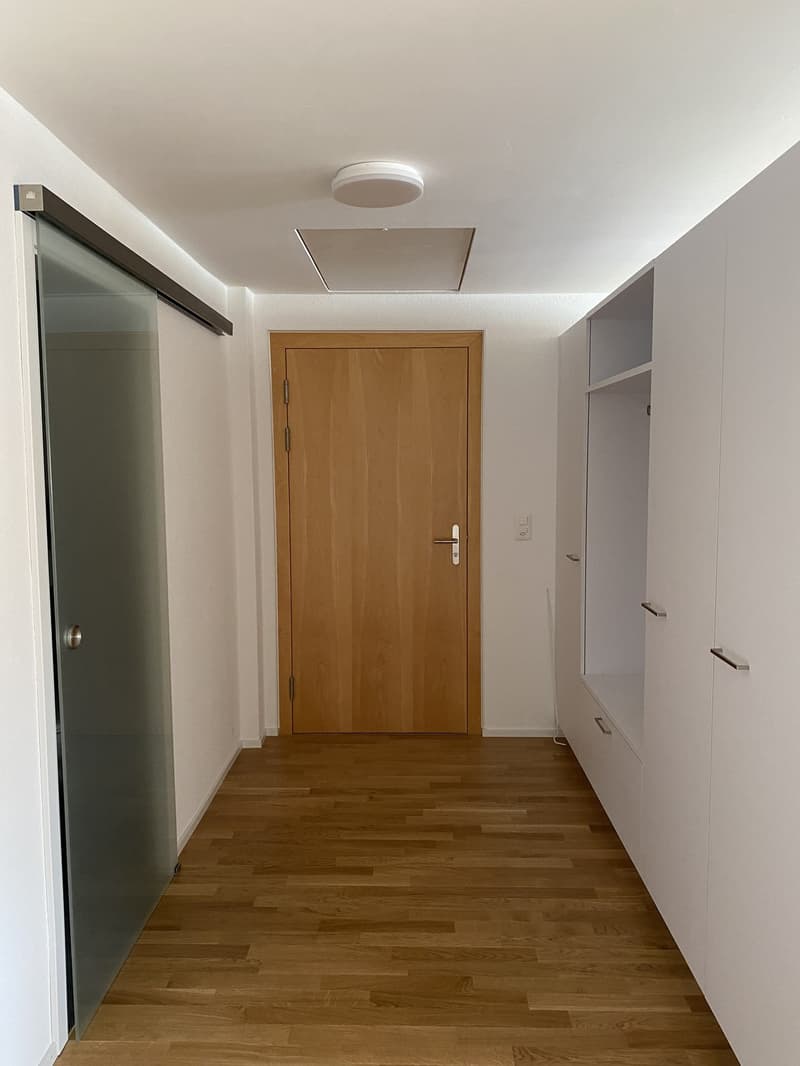 1.5 Zimmer-Wohnung mit eigenem Waschturm in Wallenwil (7)