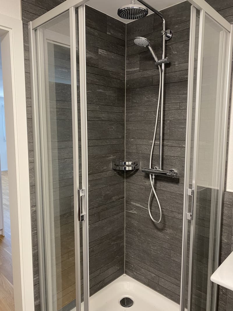 1.5 Zimmer-Wohnung mit eigenem Waschturm in Wallenwil (6)