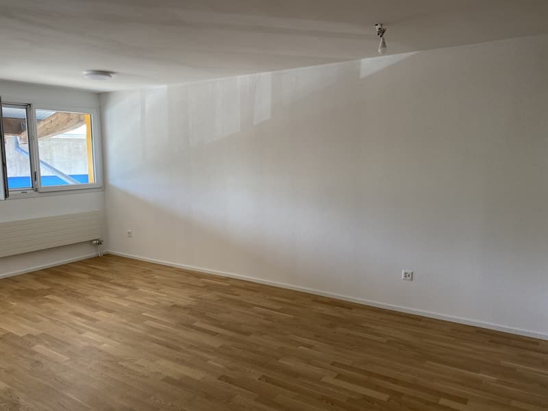 1.5 Zimmer-Wohnung mit eigenem Waschturm in Wallenwil (3)