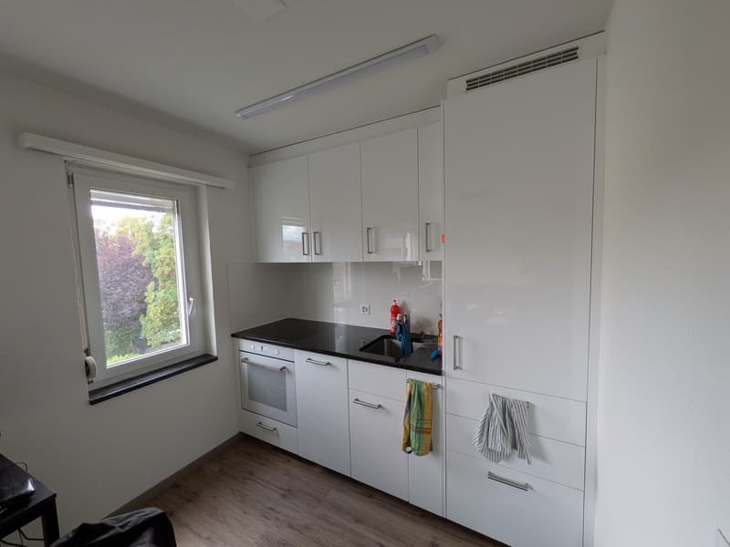 1.5 Zimmer-Wohnung (2)