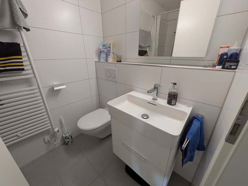 1.5 Zimmer-Wohnung (5)