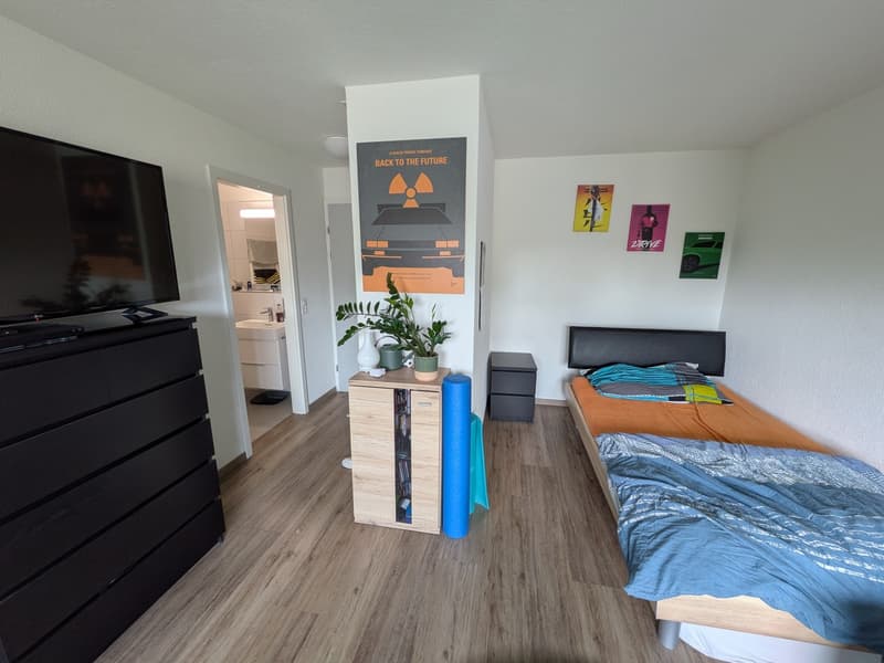 1.5 Zimmer-Wohnung (3)