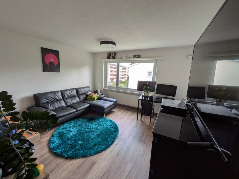 1.5 Zimmer-Wohnung (1)