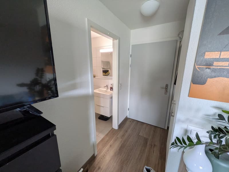 1.5 Zimmer-Wohnung (4)