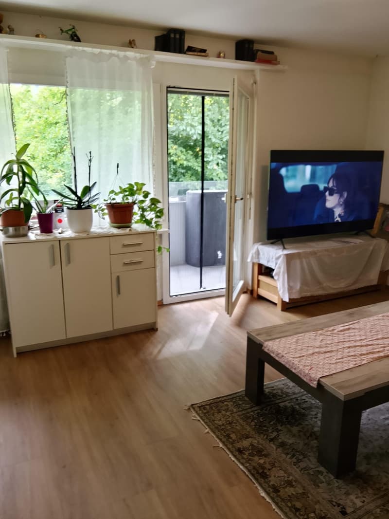 1-Zi. Wohnung in Wattwil - 1. OG (6)