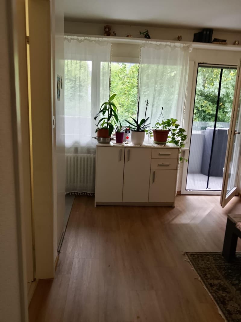 1-Zi. Wohnung in Wattwil - 1. OG (1)