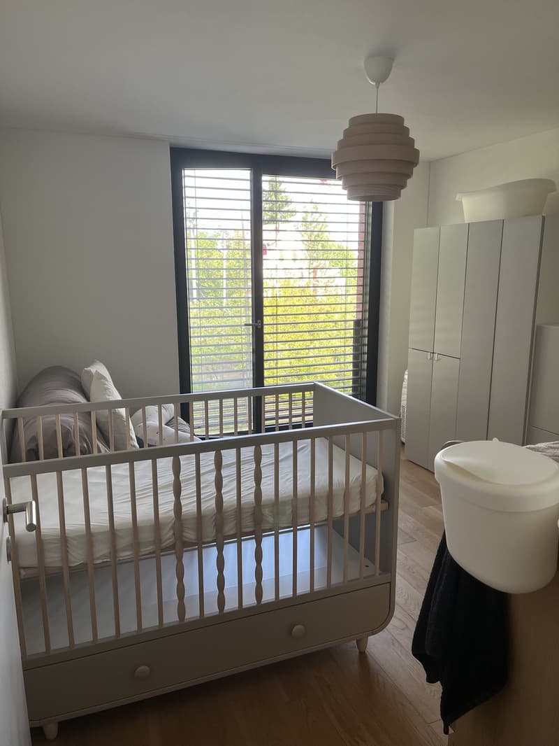 Geräumige und helle 3,5-Zimmer-Wohnung mit grosser Terrasse (4)