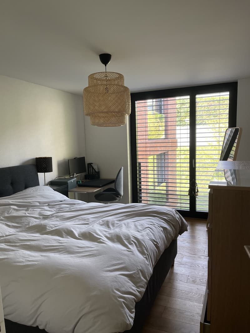 Geräumige und helle 3,5-Zimmer-Wohnung mit grosser Terrasse (3)