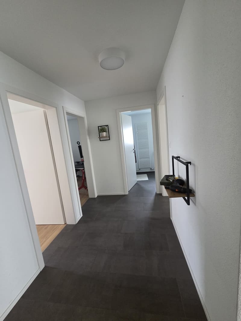 4 rooms apartment, 8400 Winterthur (4)