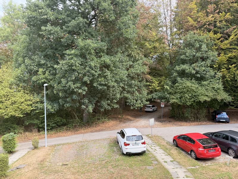 WG-Zimmer in gemütlicher 2er-WG in Hochdorf ab sofort (3)