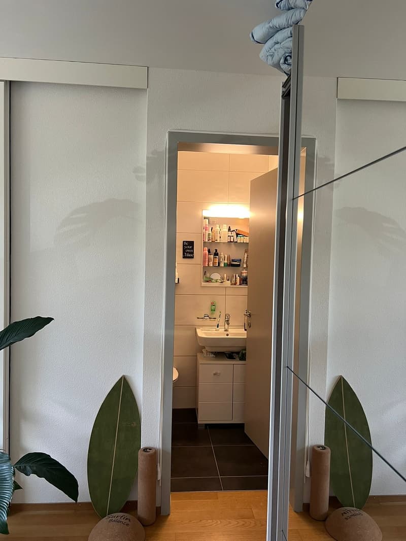 WG-Zimmer mit eigenem Bad in Zürich (6)