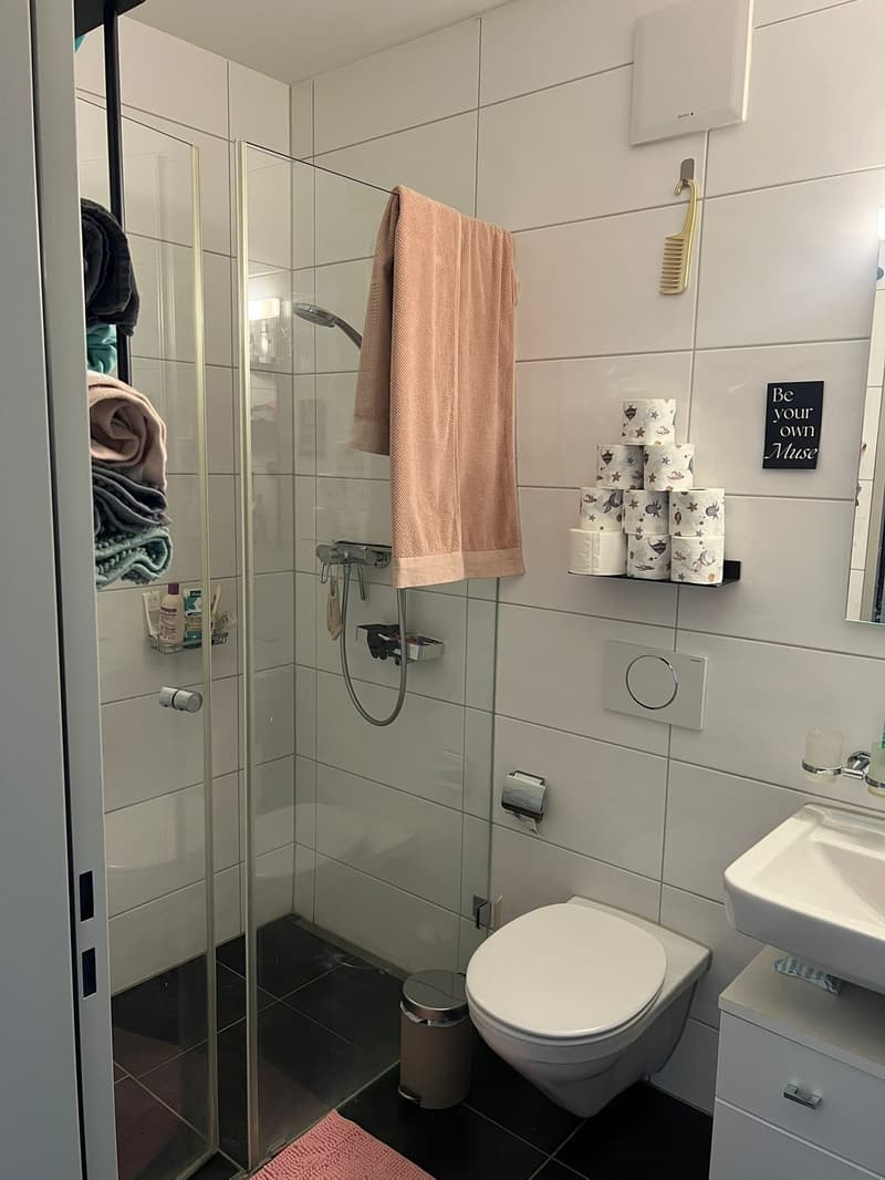 WG-Zimmer mit eigenem Bad in Zürich (7)