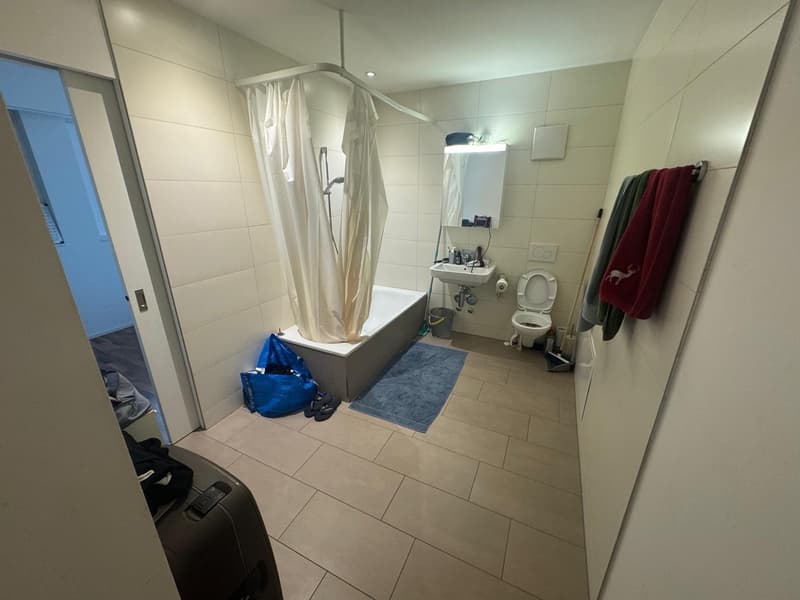 2-Zimmer-Wohnung: Zentral & ruhig, 65 m², möbliert, Albisriederplatz (4)
