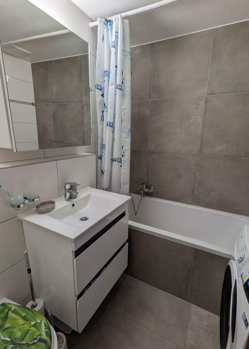 Appartement 3,5 pièces rez-de-chaussée avec terrasse et jardin (5)