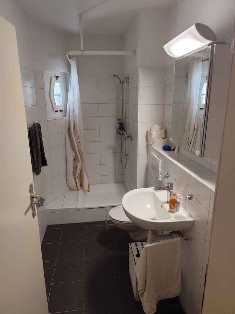 Nachmieter gesucht: Helle 1-Zimmer-Wohnung in Bern (972.- inkl. NK) (4)