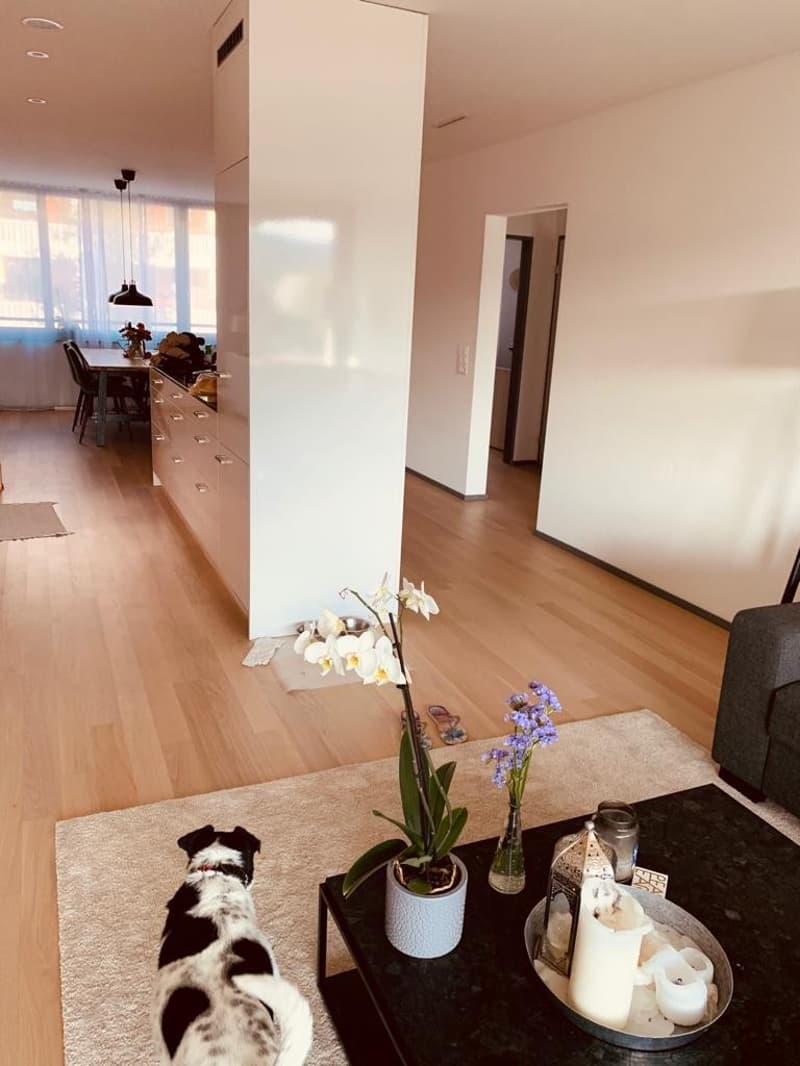 3.5 Zimmer in Dübendorf - 4 Minuten von Bahnhof Stettbach (3)