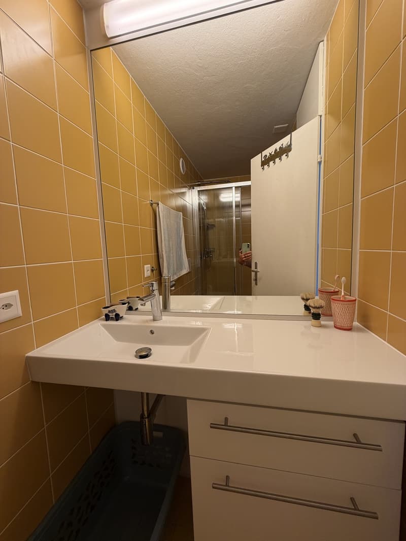 Appartement 2 pièces, 1800 Vevey (3)