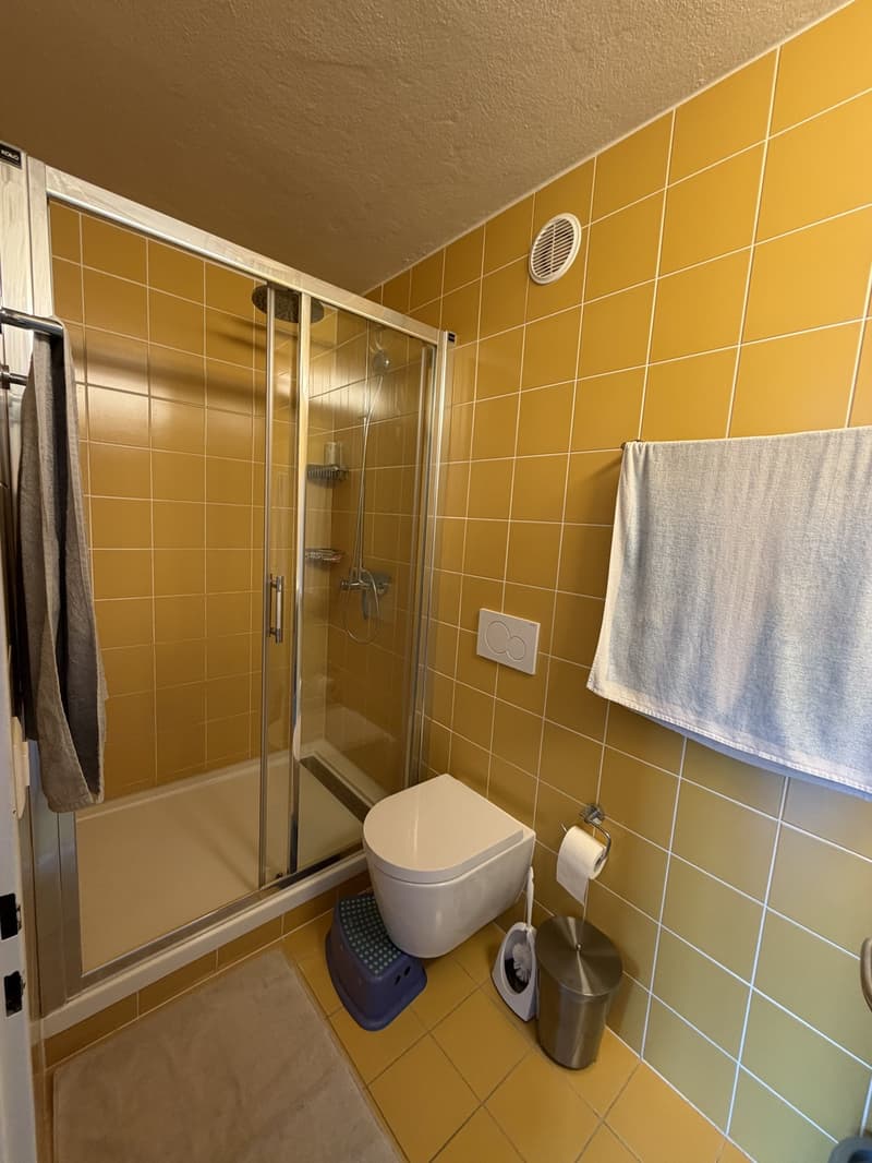 Appartement 2 pièces, 1800 Vevey (6)
