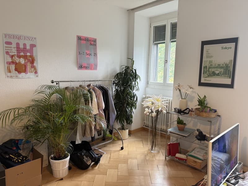 Befristetes WG-Zimmer in der Länggasse (3)