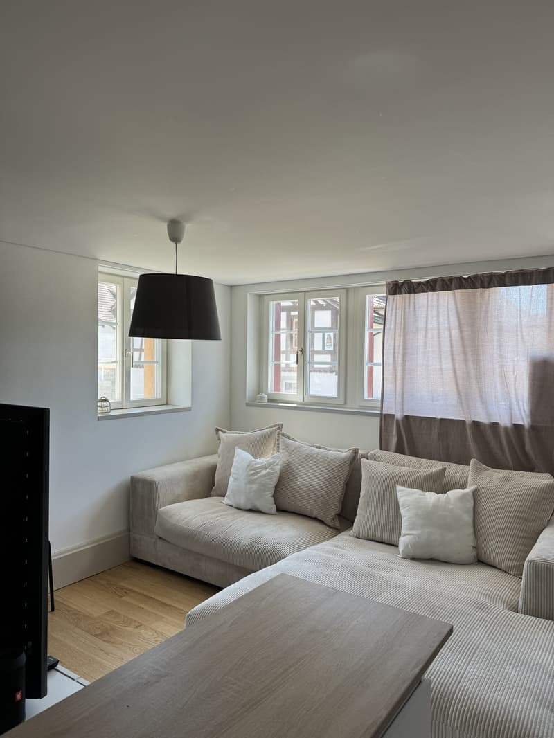 Moderne Wohnung in Volketswil (6)