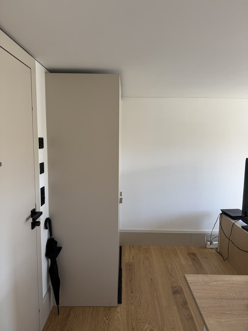 Moderne Wohnung in Volketswil (1)