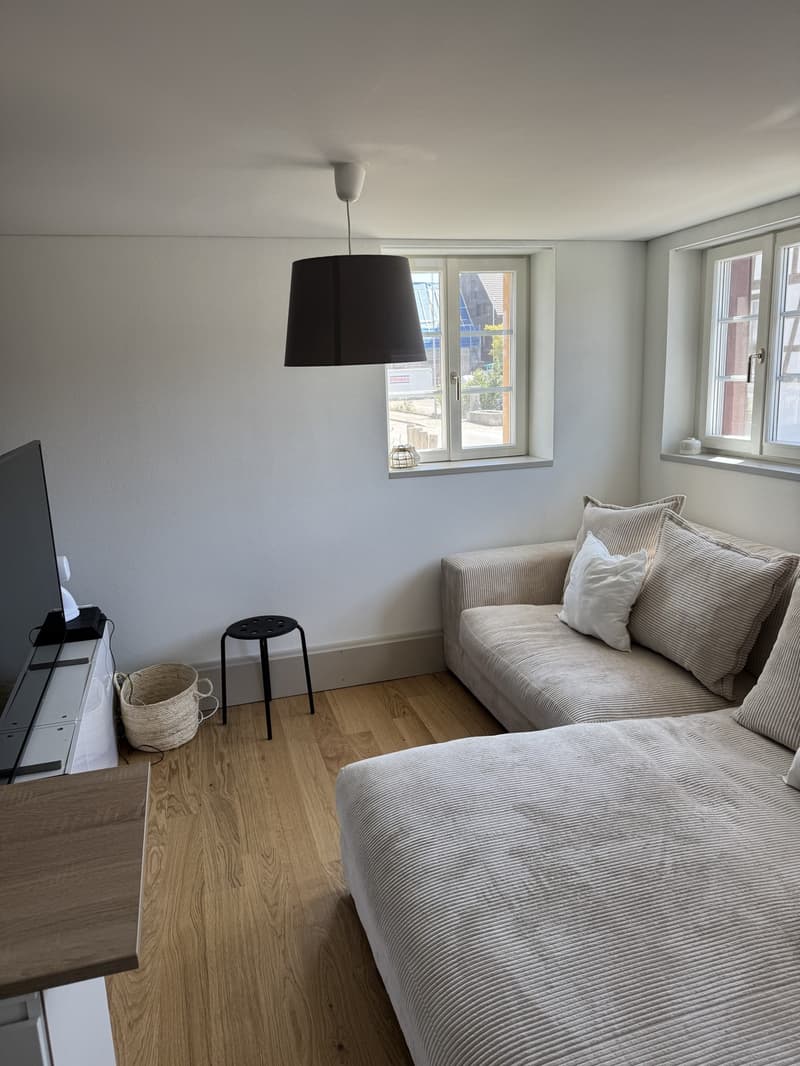 Moderne Wohnung in Volketswil (5)