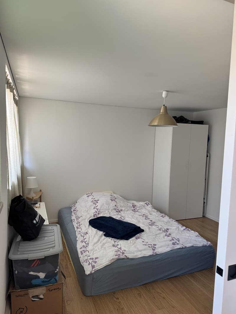 Moderne Wohnung in Volketswil (7)